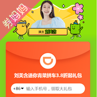 滴滴出行优惠券：青菜拼车